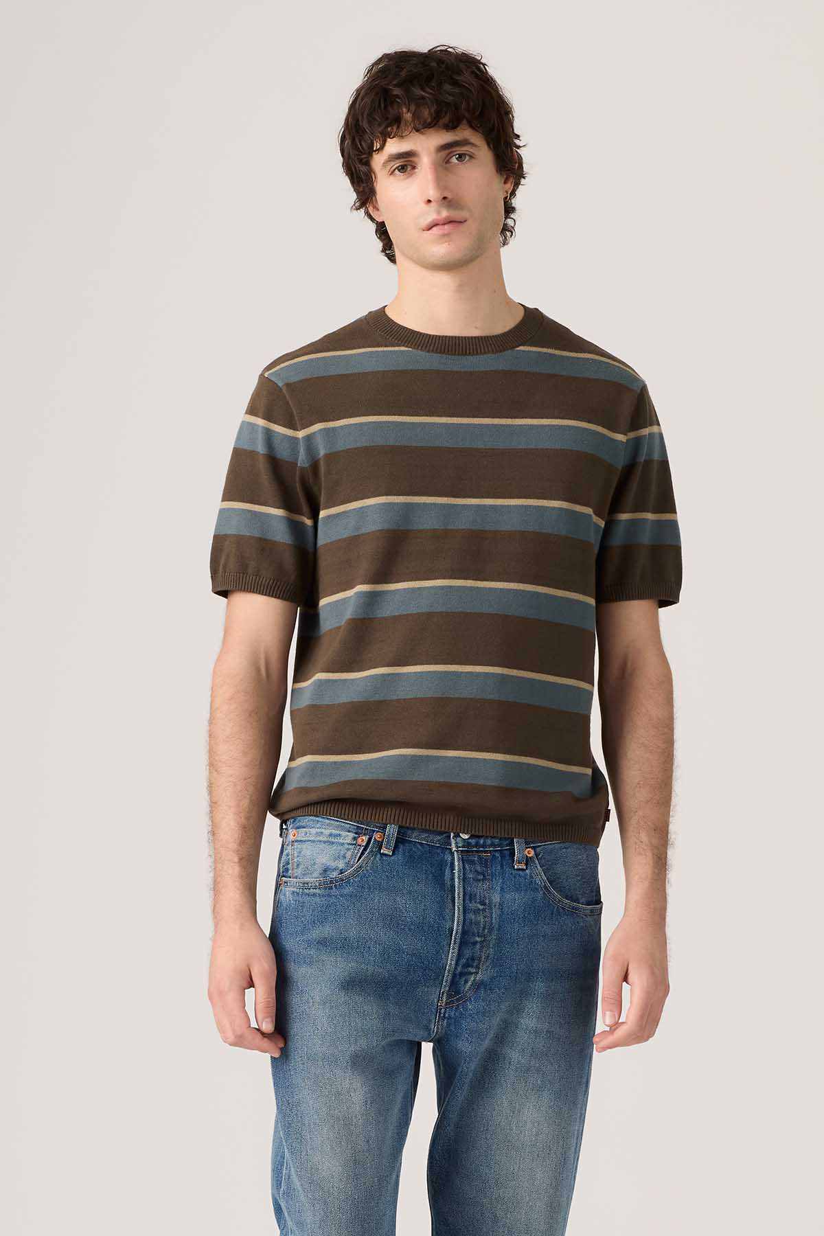Brown and blue striped knit crewneck T-shirt with short sleeves