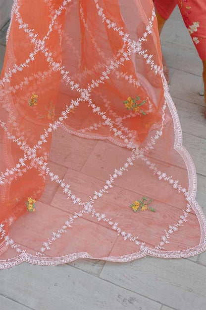 Reema Ahsan - AK Galleria