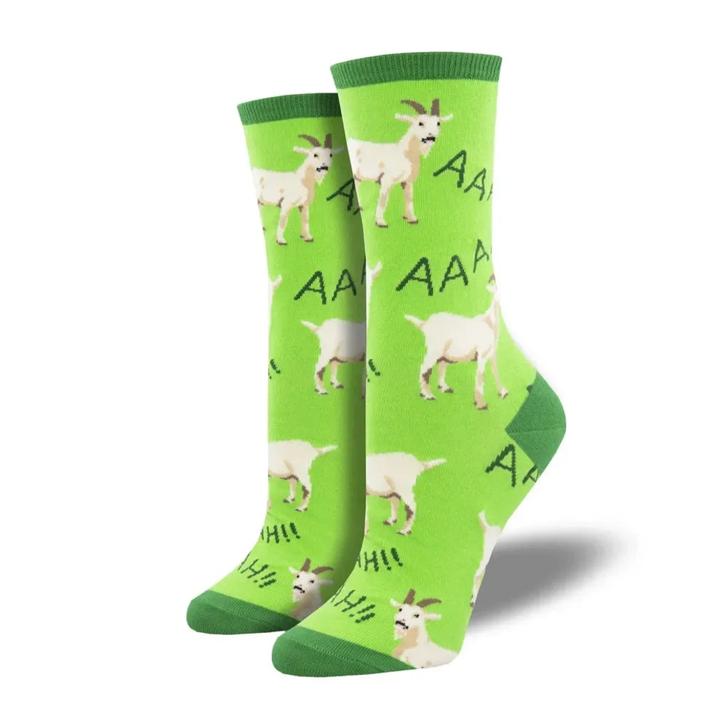 FUNKY DUNKY - AK Galleria