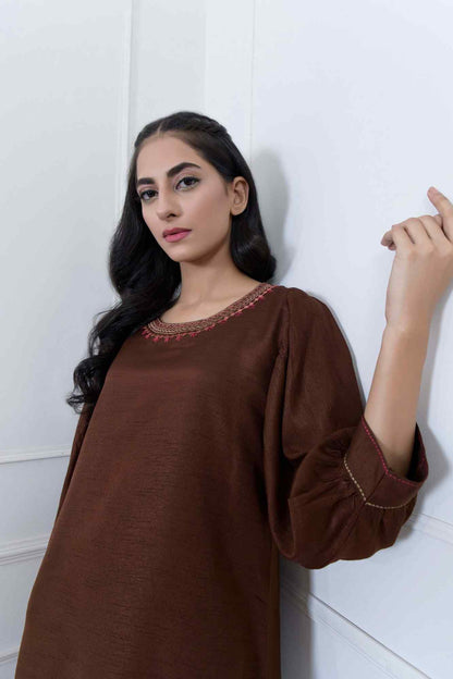 Velour brown tunic dress close-up, embroidered neckline and 3/4 sleeves with trim