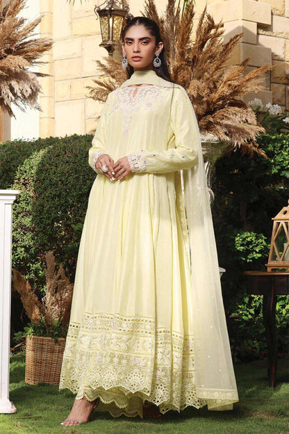 Nimra Kashif - AK Galleria