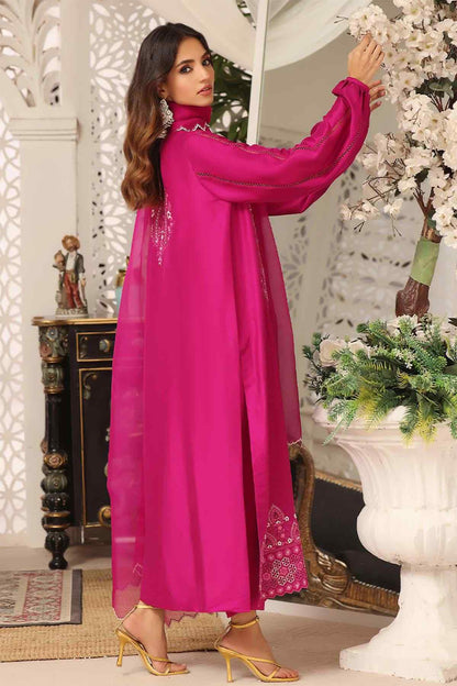 Nimra Kashif - AK Galleria