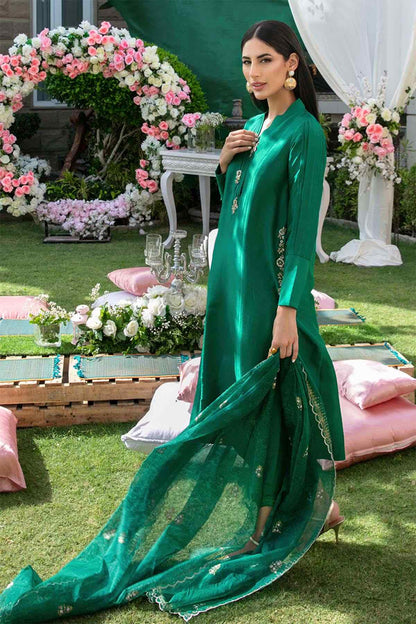 Nimra Kashif - AK Galleria