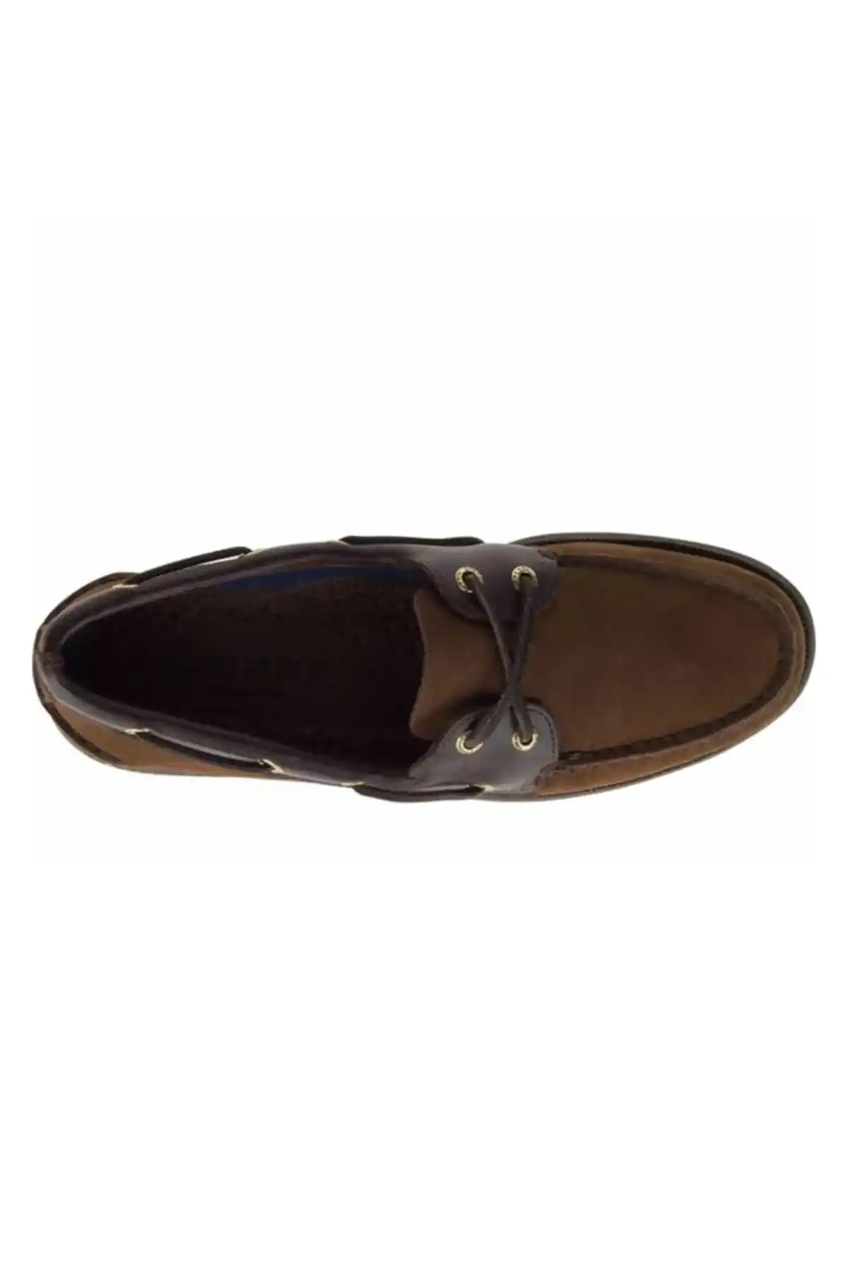 Sperry