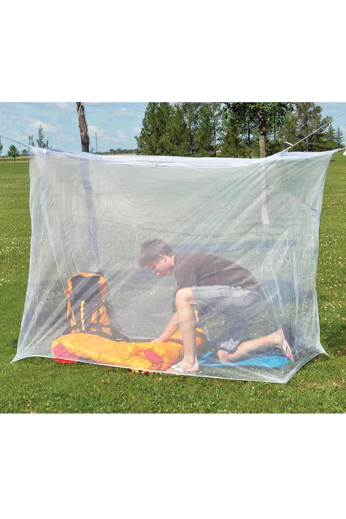 Coghlan's - AK Galleria