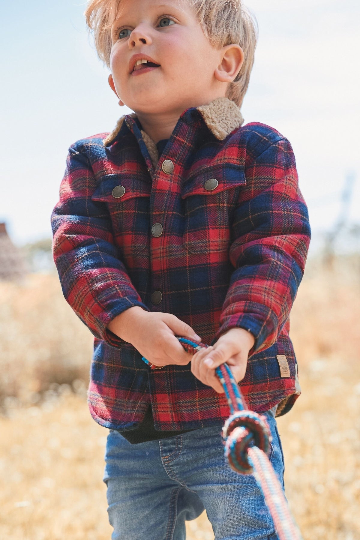 alt