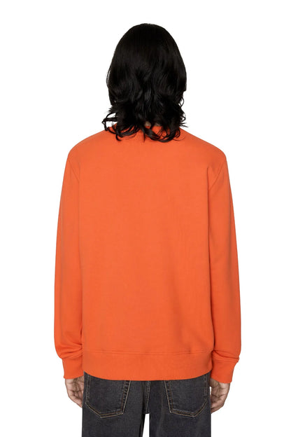 Orange crewneck sweatshirt back view, plain orange knit with ribbed cuffs