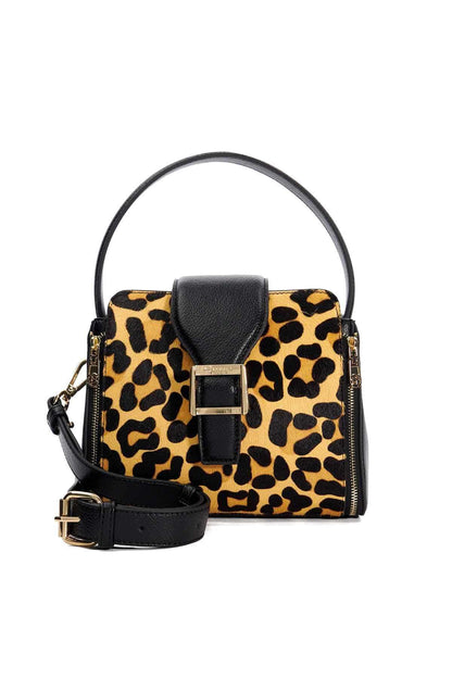 Leopard print mini handbag with black top handle, gold buckles, crossbody strap