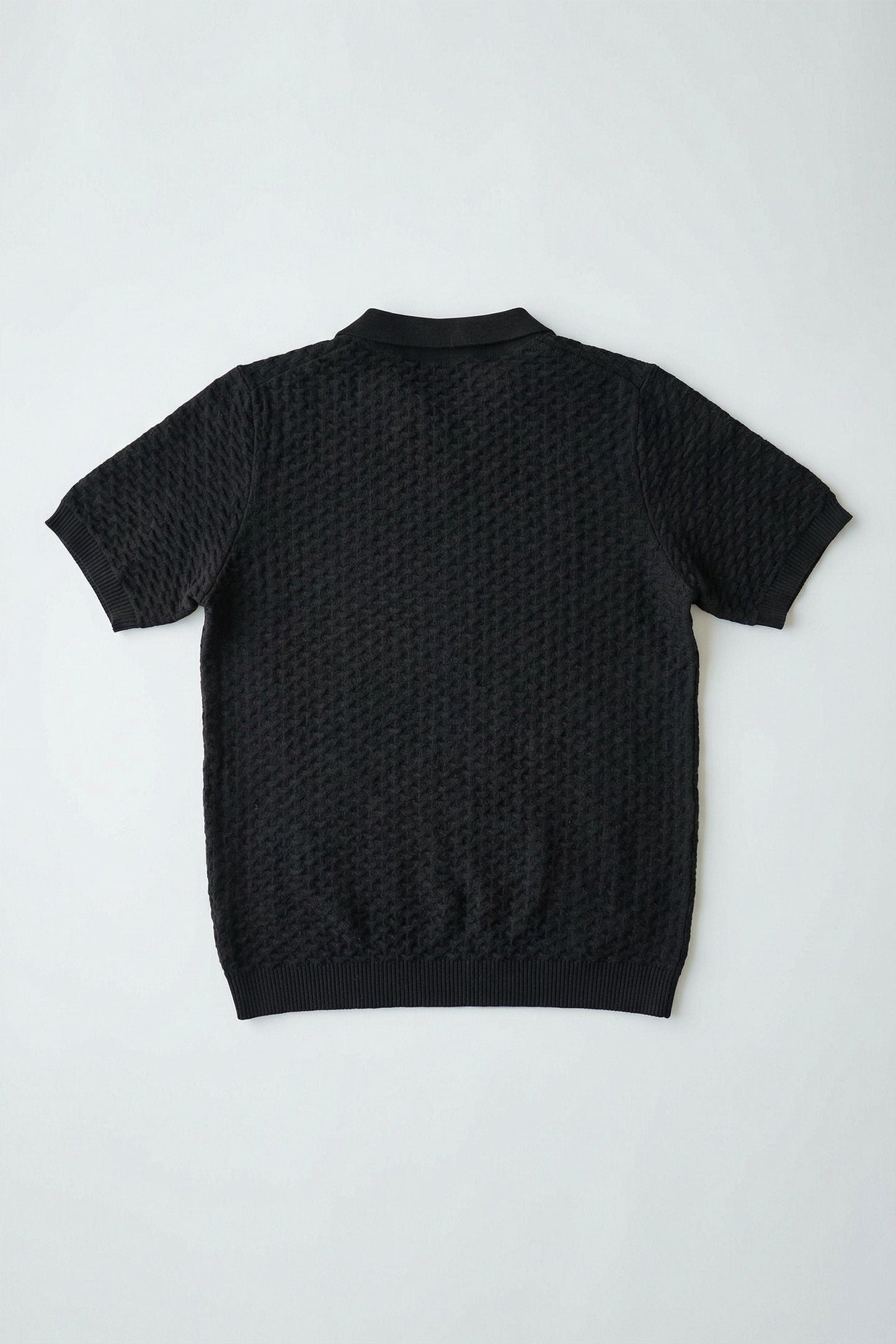 Black Regular Fit Knitted Polo