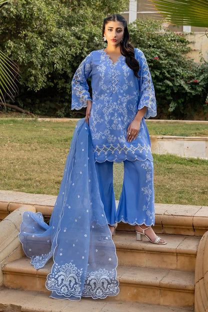Light blue embroidered long kurta with flowing sheer dupatta and wide-leg pants