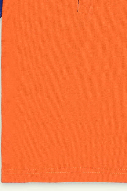 IXAMPLE