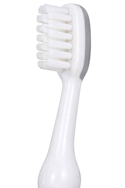 White baby toothbrush head with soft bristles on a long gray-bottom handle
