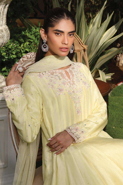 Nimra Kashif - AK Galleria