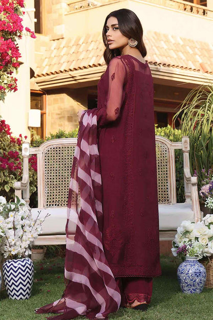 Nimra Kashif - AK Galleria