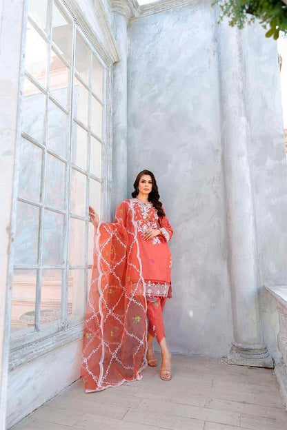 Reema Ahsan - AK Galleria