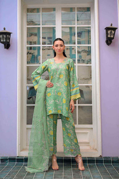 Reema Ahsan - AK Galleria