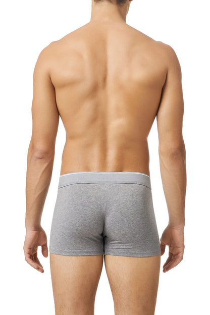 Diesel men's gray boxer briefs, back view, elastic waistband with DIESEL logo