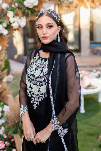 Black embroidered dress with sheer sleeves and floral motifs, close-up of neckline and dupatta