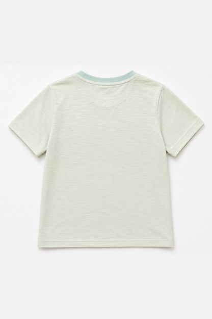 Light green boys henley T-shirt, back view with short sleeves and crew neck