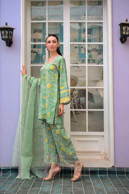 Reema Ahsan - AK Galleria