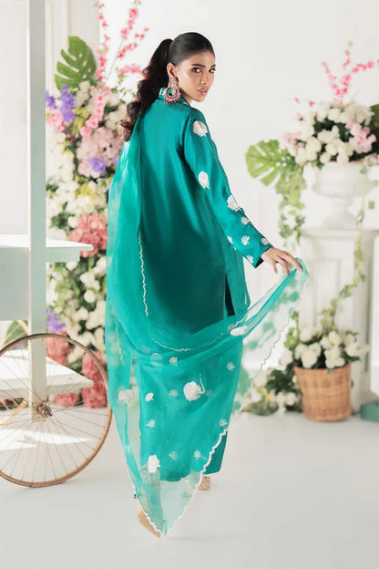 Nimra Kashif - AK Galleria
