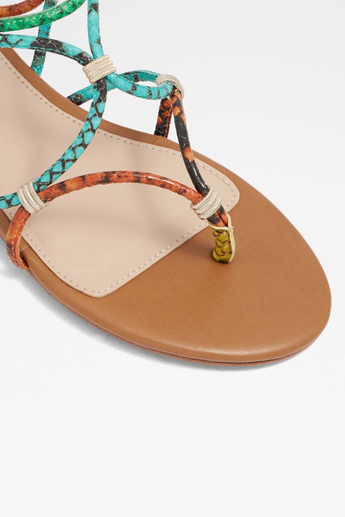ALDO