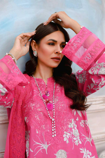 Reema Ahsan - AK Galleria