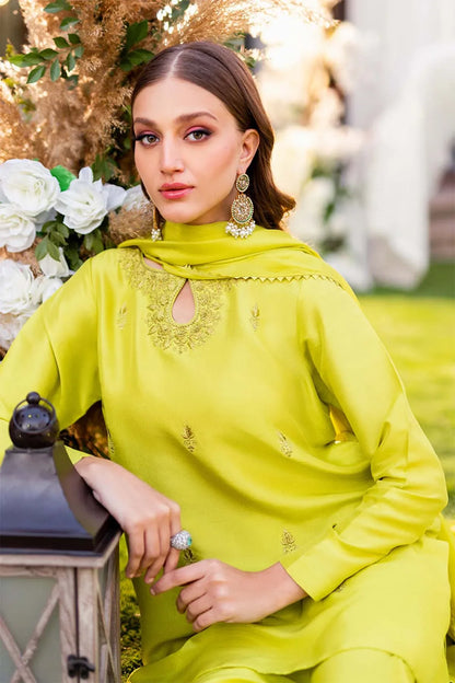 Nimra Kashif - AK Galleria