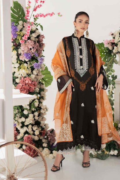 Nimra Kashif - AK Galleria