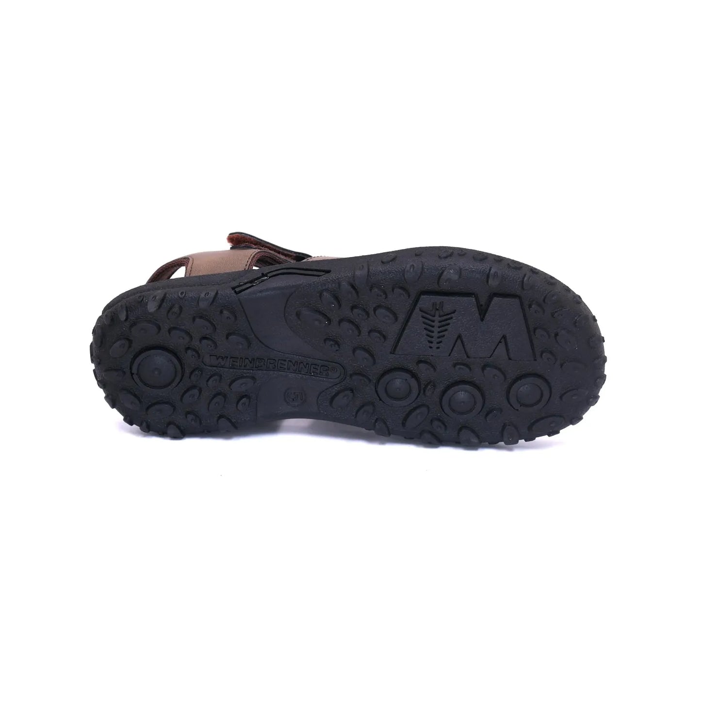 BATA