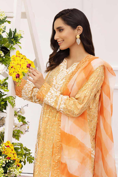Nimra Kashif - AK Galleria