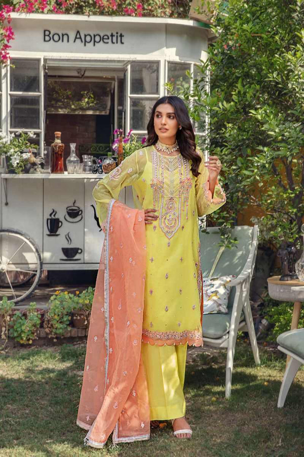 shop online ladies suits