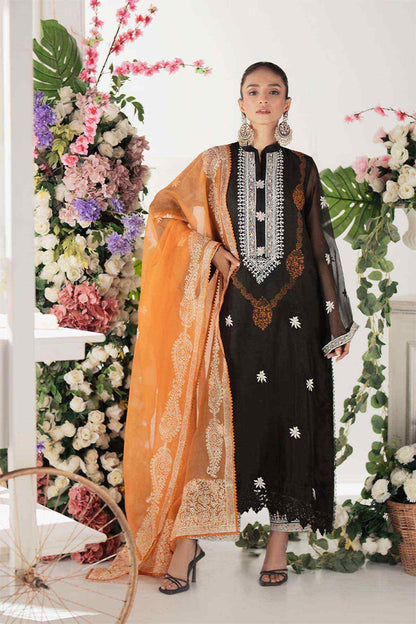 Nimra Kashif - AK Galleria