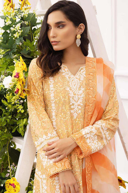 Nimra Kashif - AK Galleria