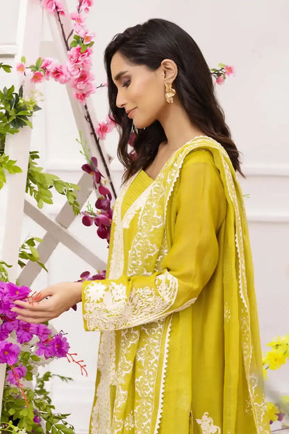 Nimra Kashif - AK Galleria