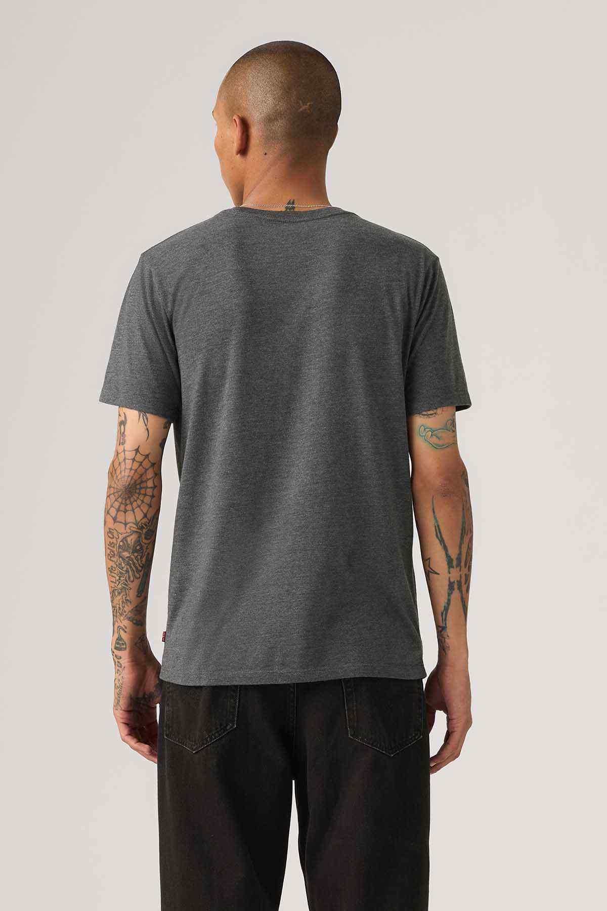 Grey graphic T-shirt, back view, crew neck