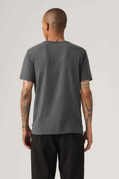 Grey graphic T-shirt, back view, crew neck
