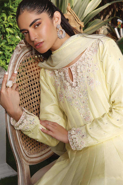 Nimra Kashif - AK Galleria
