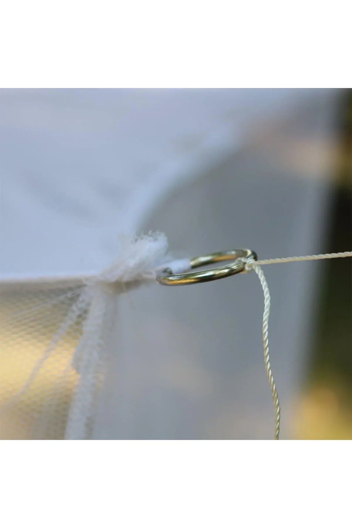 Coghlan's - AK Galleria