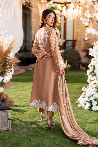 Nimra Kashif