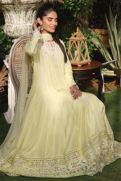 Nimra Kashif - AK Galleria
