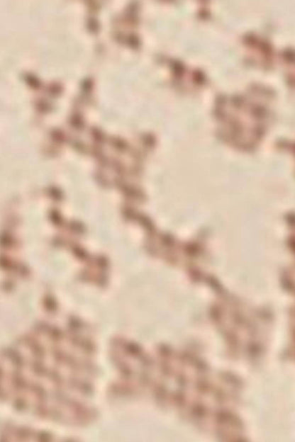 Beige lace and dotted mesh fabric, close-up texture