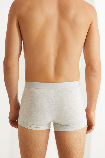 Men's grey boxer briefs, back view with elastic waistband