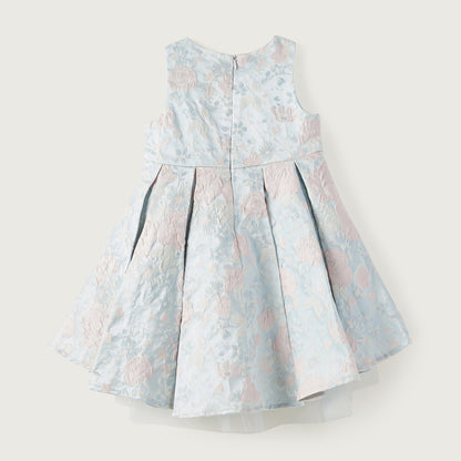 Sleeveless baby dress with blue floral print, gathered skirt, and back closure